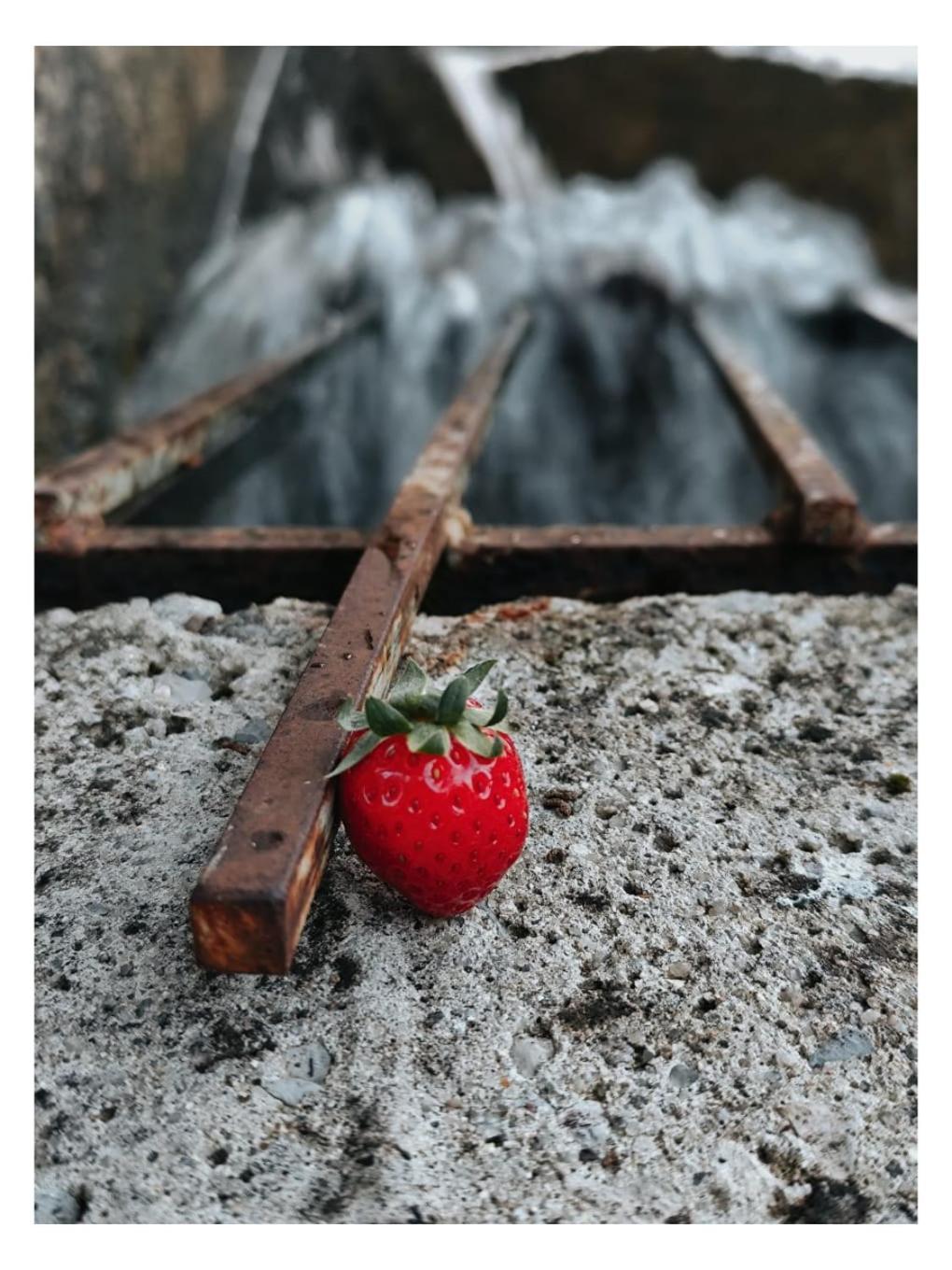 Le Moulin De Mitou Hotel Auriac-du-Périgord Eksteriør billede